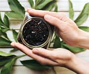 Jar of black tea leaves that theaflavins regulator Mtor